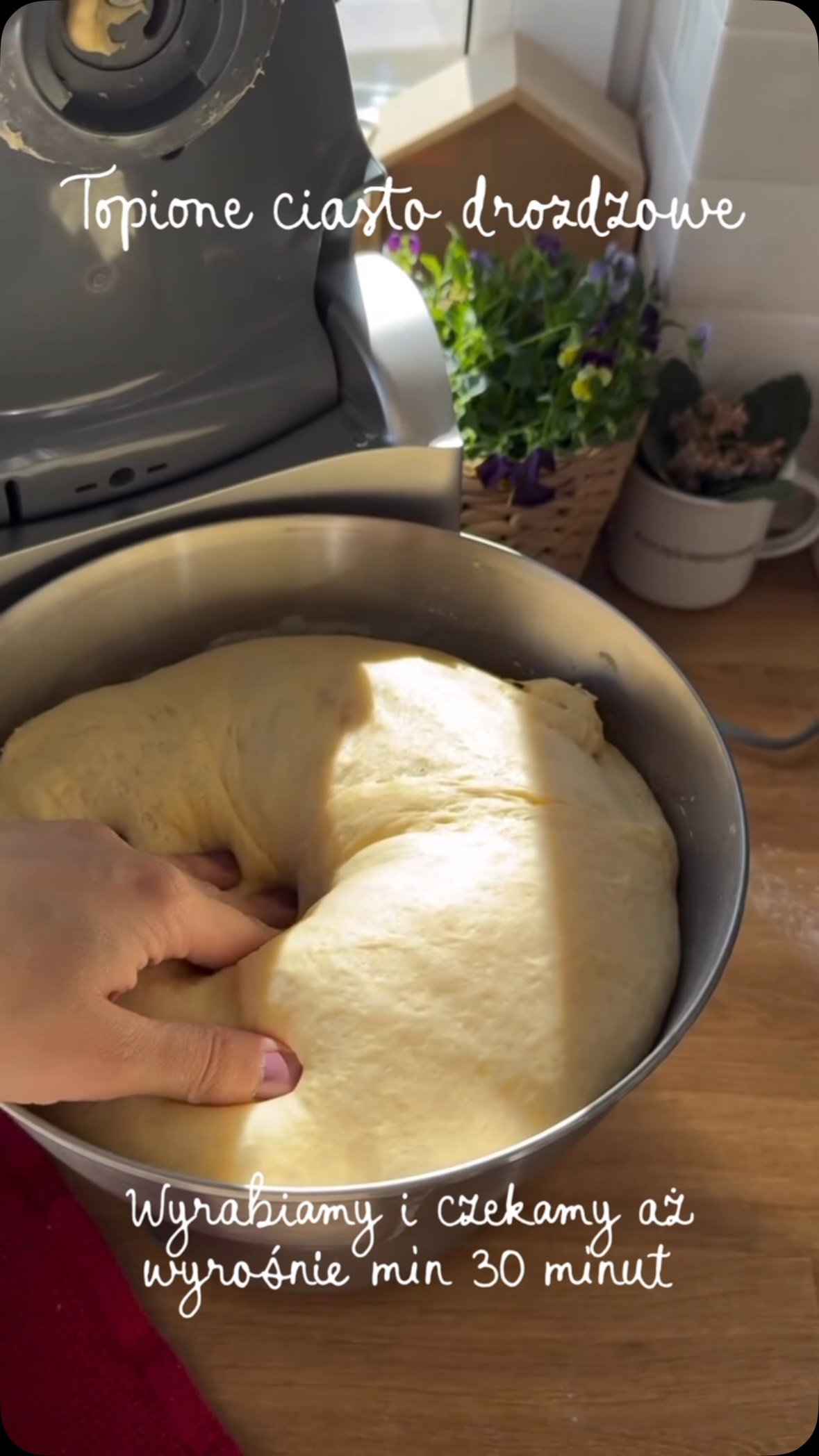 📍ZAPISZ ten przepis, przyda się na później!Topione drożdżowe krok po kroku - najlepsze, lekkie, miękkie, pyszne. I zawsze się udaje 🤎Zawsze jest dużo pytań o ten przepis, także nagrałam Wam krok po kroku, jak robię to drożdżowe mojej mamy.1. W misce wyrabiamy luźne ciasto - 320 g mąki, 2 jajka, 2 łyżeczki cukru, 50 g drożdży świeżych, 125 ml ciepłego mleka, 125 g roztopionego masła.2. Jak ciasto będzie luźną kulką, wtedy wlewamy do miski zimną wodę aby zakryła ciasto. Czekamy jakieś 15 minut aż ciasto wypłynie na powierzchnie.3. Odlewamy całą wodę.4. Do ciasta dodajemy 160 g mąki i 80 g cukru. Wyrabiamy ok 5 minut. Przykrywamy miskę ścierką do wyrośnięcia ciasta. Ok 30 minut.To ciasto jest pyszne. Nadaje się na drożdżówki, chałki, baby drożdżowe, makowce, plecionki itp. Nawet bułeczki śniadaniowe!Jeśli robicie małe bułeczki - pieczemy ok 20 minut w 180 stopniach.Jeśli robicie baby, plecionki itp - 40 minut.Znacie ten przepis?